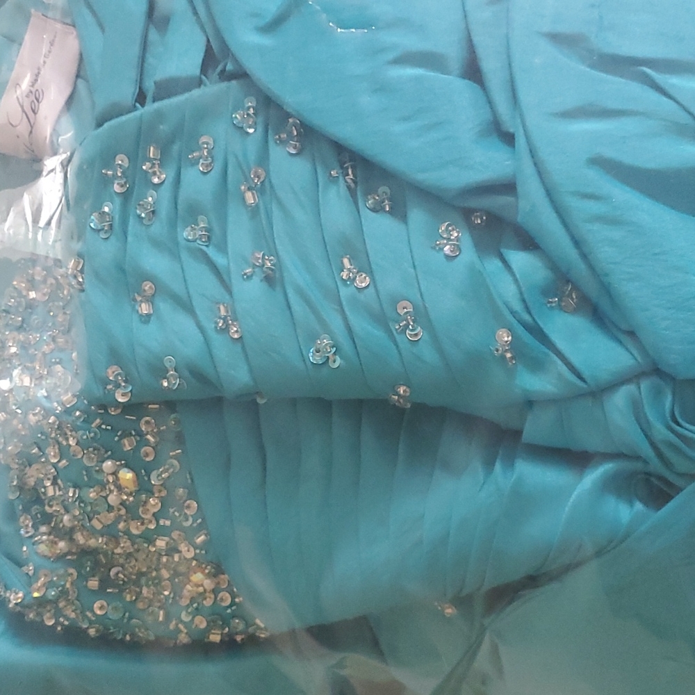 Vizcaya quinceanera dress/prom dress - Picture 11 of 13